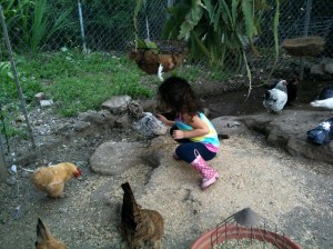 None of these prize winning birds went into the pot!